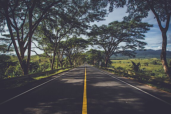 asphalt-environment-grass-highway-239520.jpg  