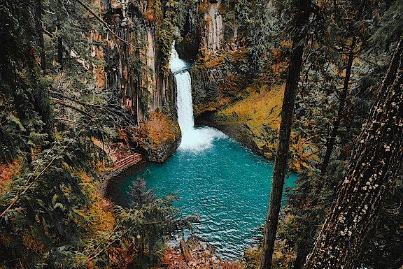 time-lapse-photo-of-water-falls-in-the-forest-3715436.jpg  